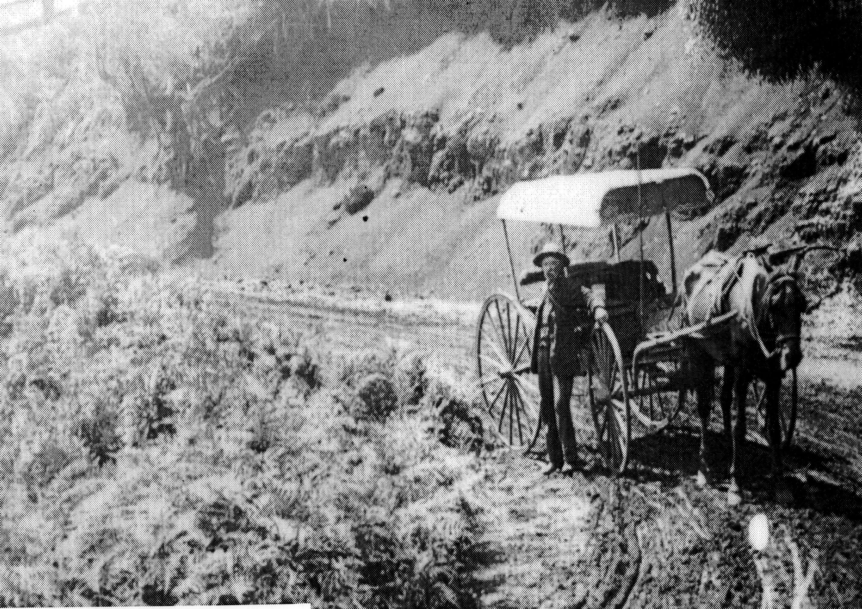 Robertson to Bowral Mail